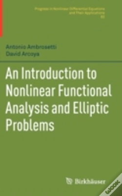 Capa do artigo An Introduction To Nonlinear Functional Analysis And Elliptic Problems