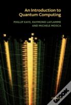 An Introduction To Quantum Computing