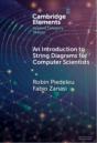 An Introduction To String Diagrams For Computer Scientists - Preview