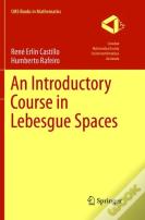 An Introductory Course In Lebesgue Spaces