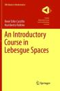 An Introductory Course In Lebesgue Spaces - Preview