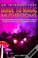 An Introductory Guide To Magic Mushrooms