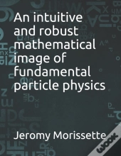 An Intuitive And Robust Mathematical Image Of Fundamental Particle Physics
