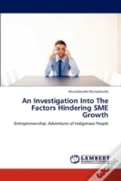 An Investigation Into The Factors Hindering Sme Growth