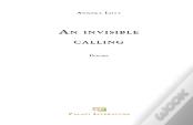 An Invisible Calling