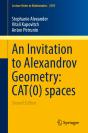 An Invitation To Alexandrov Geometry: Cat(0) Spaces - Preview