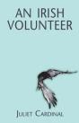 An Irish Volunteer - Preview