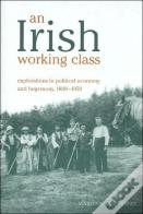 An Irish Working Class