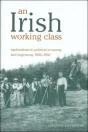 An Irish Working Class - Preview