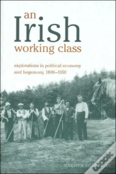 An Irish Working Class