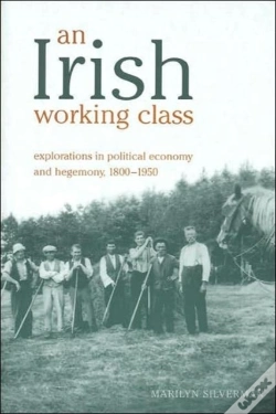 Capa do artigo An Irish Working Class