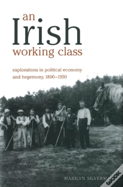 Capa do artigo An Irish Working Class