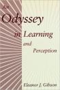 An Odyssey In Learning And Perception - Preview
