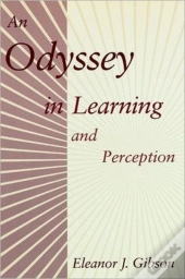 An Odyssey In Learning And Perception