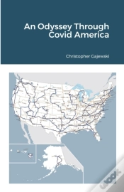 Capa do artigo An Odyssey Through Covid America