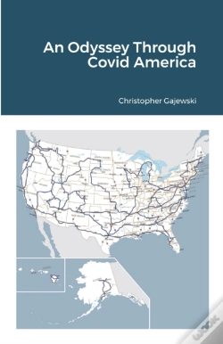 Capa do artigo An Odyssey Through Covid America