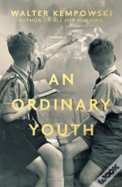 Capa do artigo An Ordinary Youth