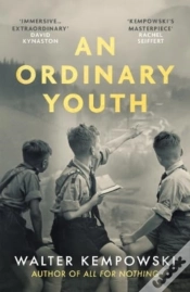 Capa do artigo An Ordinary Youth
