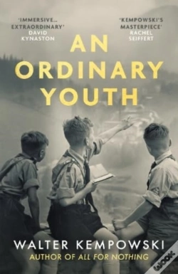 Capa do artigo An Ordinary Youth