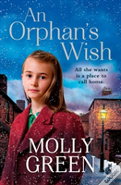 Capa do artigo An Orphanâ€™S Wish