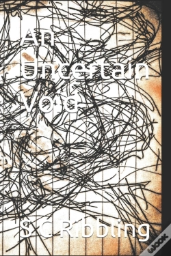 Capa do artigo An Uncertain Void