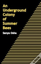 An Underground Colony Of Summer Bees
