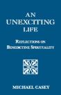 An Unexciting Life - Preview