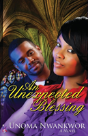 An Unexpected Blessing - Preview