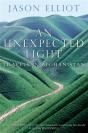 An Unexpected Light - Preview
