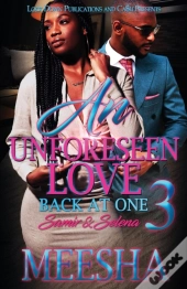 An Unforeseen Love 3