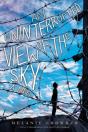 An Uninterrupted View Of The Sky - Preview