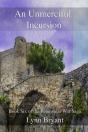 An Unmerciful Incursion - Preview