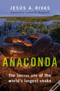 Capa do artigo Anaconda