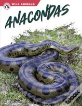 Anacondas
