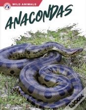 Capa do artigo Anacondas