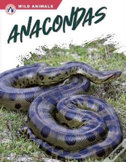 Capa do artigo Anacondas