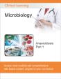 Anaerobiosis : Part 1 - Preview
