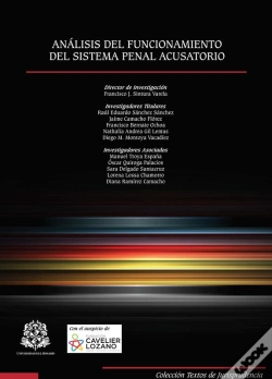 Capa do artigo Análisis Del Funcionamiento Del Sistema Penal Acusatorio