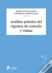 Capa do artigo Analisis Practico Del Regimen De Custodia Y Visitas
