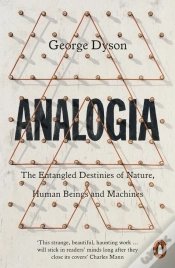 Capa do artigo Analogia