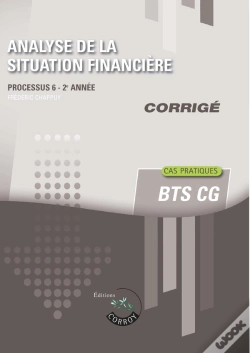 Capa do artigo Analyse De La Situation Financiere - Corrige - Processus 6 Du Bts Cg
