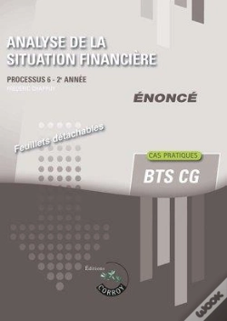 Capa do artigo Analyse De La Situation Financiere - Enonce - Processus 6 Du Bts Cg