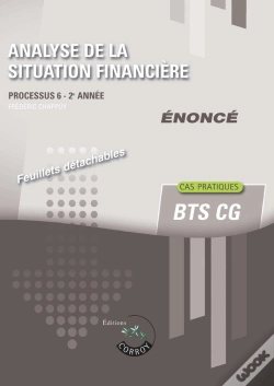 Capa do artigo Analyse De La Situation Financiere - Enonce - Processus 6 Du Bts Cg