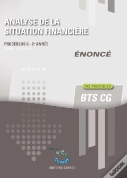 Capa do artigo Analyse De La Situation Financière - Enoncé : Processus 6 Du Bts Cg