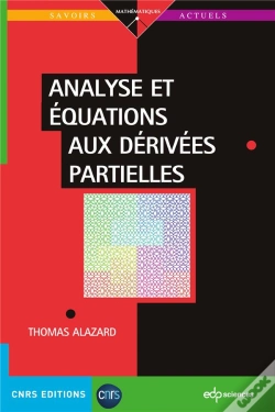 Capa do artigo Analyse Et Équations Aux Dérivées Partielles