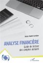 Analyse Financière : Guide De Lecture Des Comptes Annuels - Preview