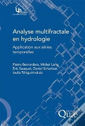 Analyse Multifractale En Hydrologie : Application Aux Séries Temporelles