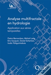Capa do artigo Analyse Multifractale En Hydrologie