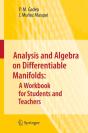Analysis And Algebra On Differentiable Manifolds: A Workbook For Students And Teachers - Preview