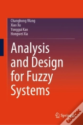 Analysis And Design For Fuzzy Systems